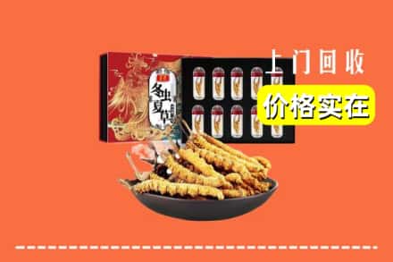 钟祥市回收冬虫夏草